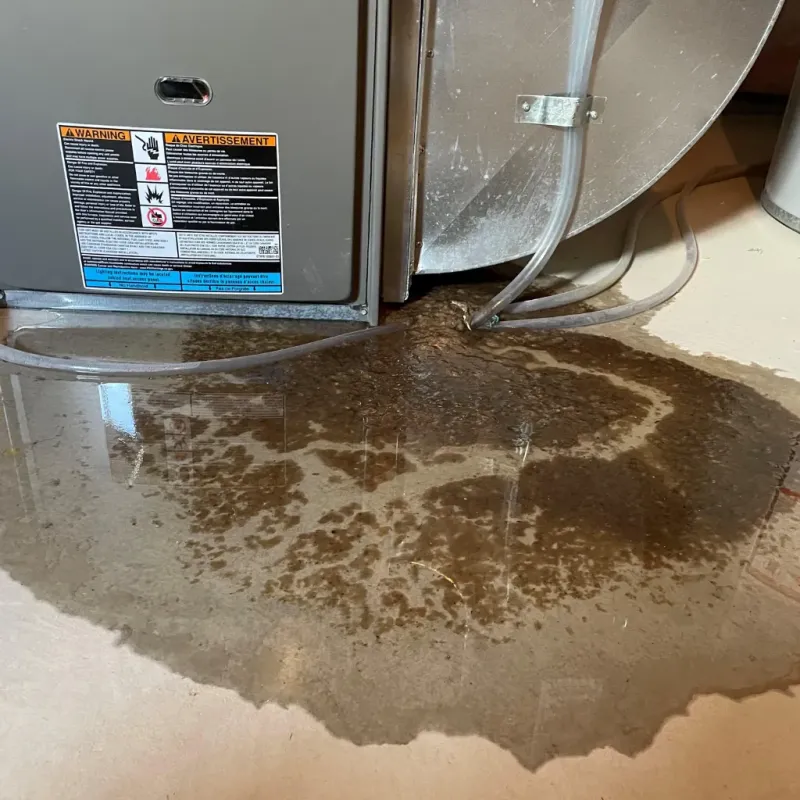 Appliance Leak Cleanup in Marshall, NC