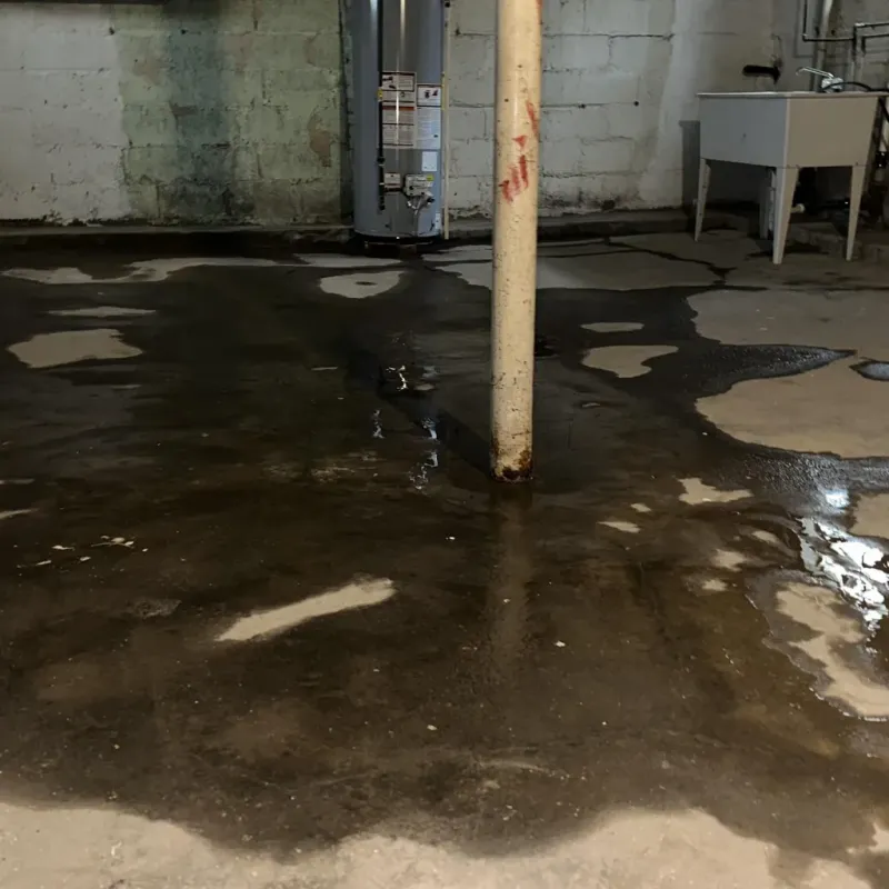 Emergency Water Extraction And Removal in Marshall, NC
